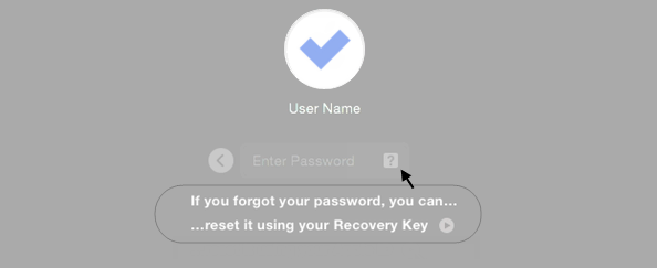 Use the recovery key to reset your login password